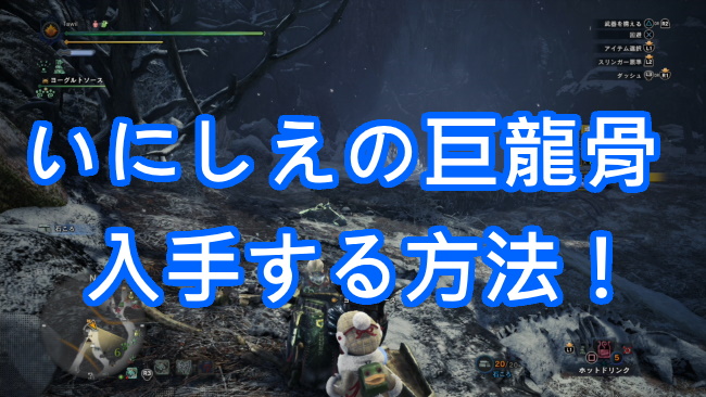 ょ りゅう こつ き いにしえ mhxx の